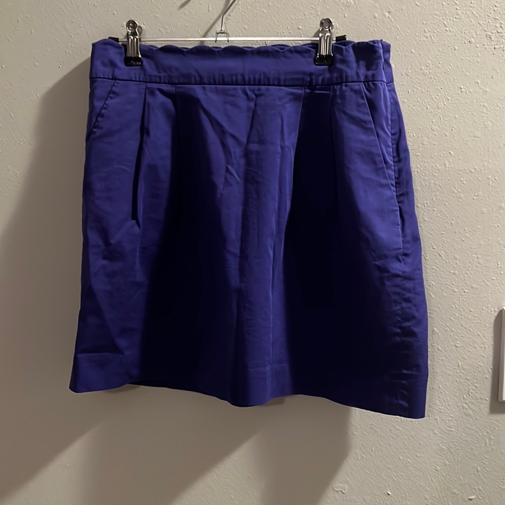 Purple J.Crew Skirt 8